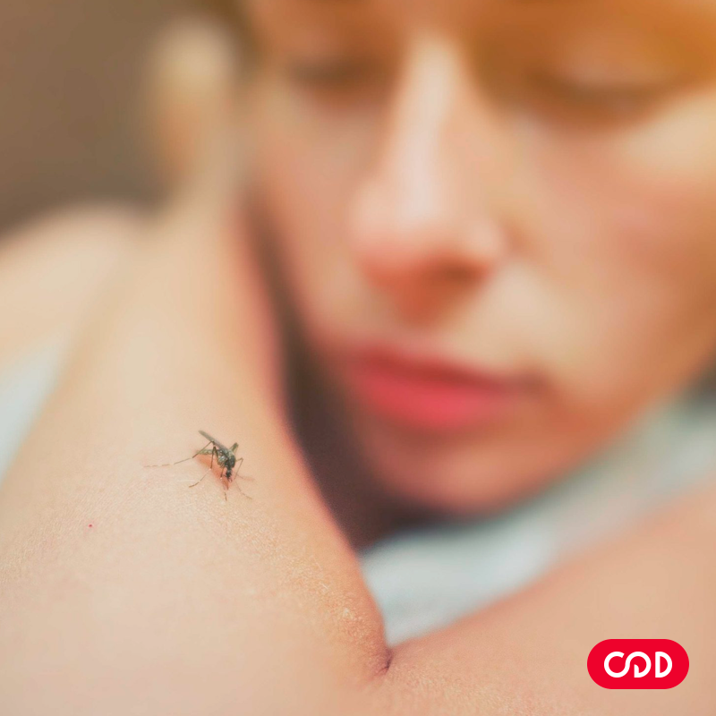 Pacientes com doenças crônicas precisam redobrar atenção com a dengue